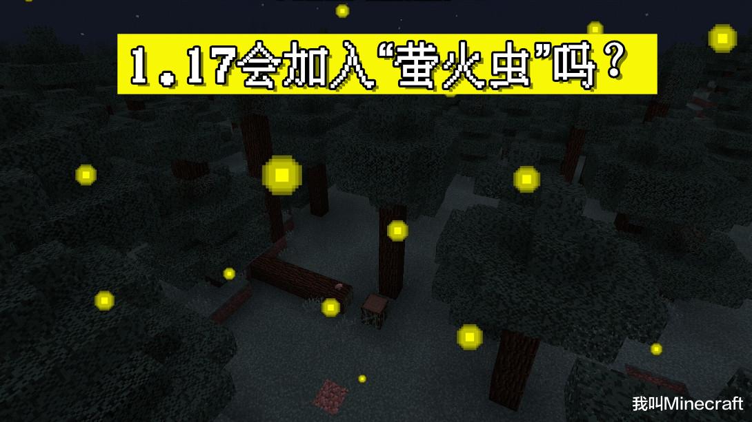 1.17洞穴更新紫水晶有什么用,1.17洞穴更新矿物掉落