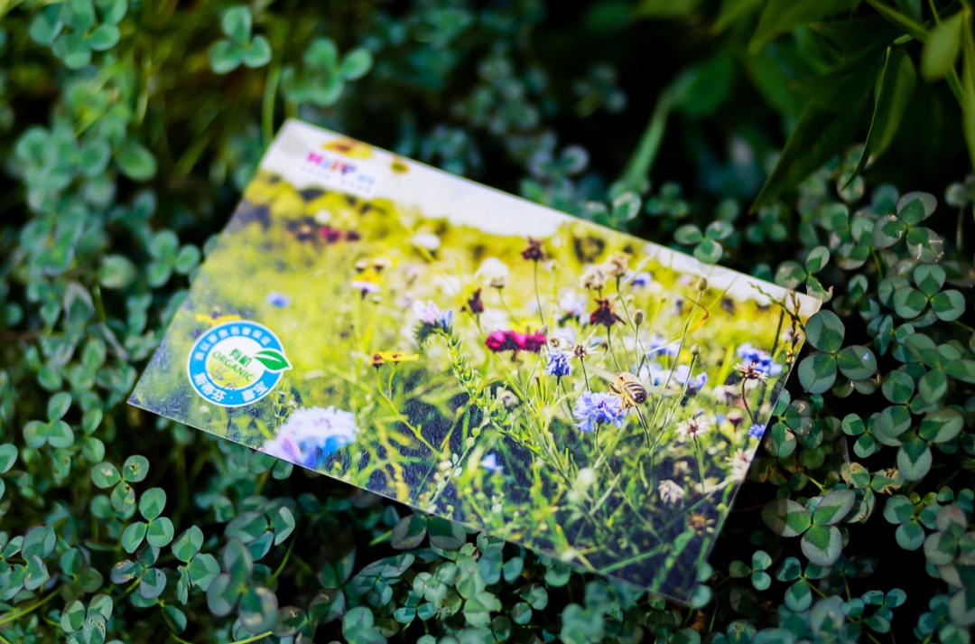 hipp喜宝荷兰版和德国版,喜宝和德国hipp的区别