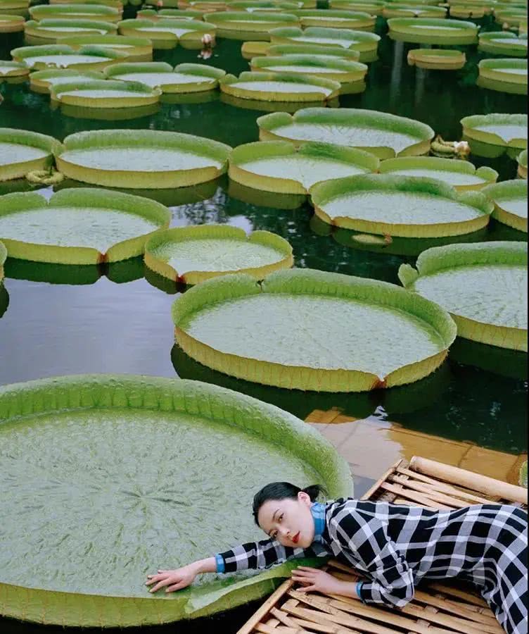 云南西双版纳幸福感,云南最有潜力的城市西双版纳