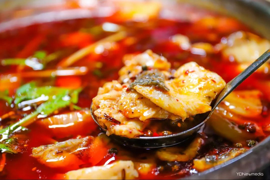 浠庢姹夋斁鍋囧洖瀹剁殑瀛︾敓,浠庢姹夊洖鏉ョ殑澶у鐢熶滑