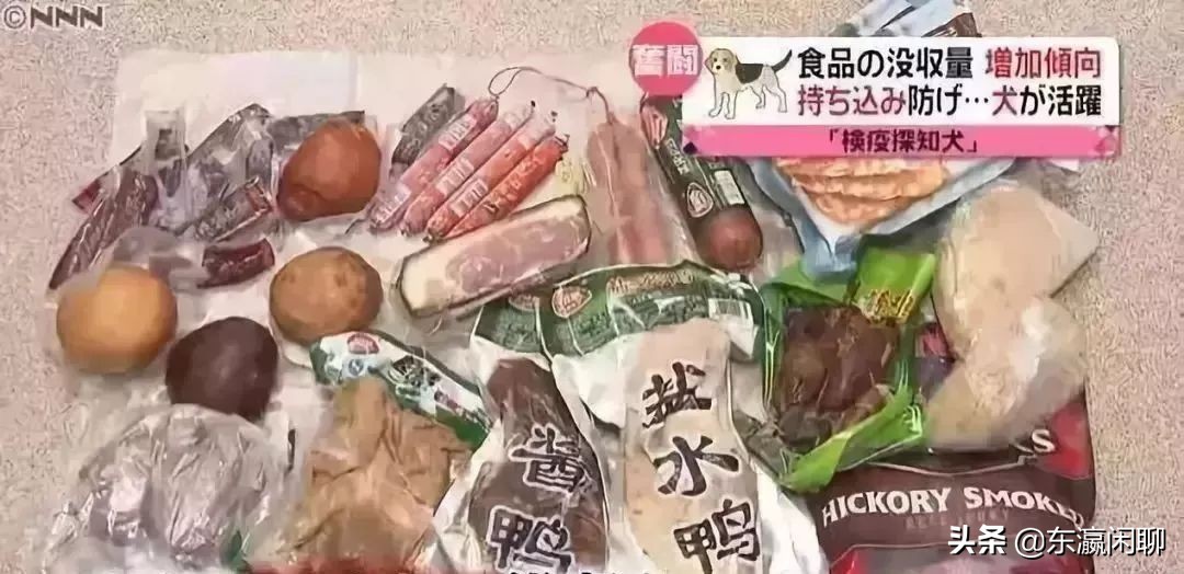 去日本看不懂日本文字怎么办,去日本不知道怎么说日语怎么办