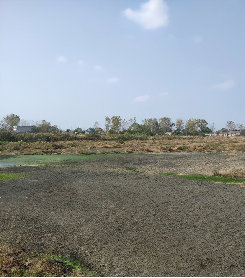 国新天汇环境科技有限公司,合肥国新天汇环境科技公司王洪