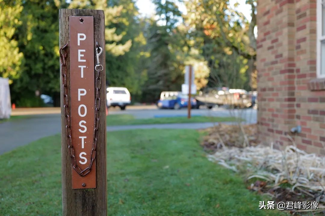 徕卡leicasl2-s样张,徕卡发布新相机