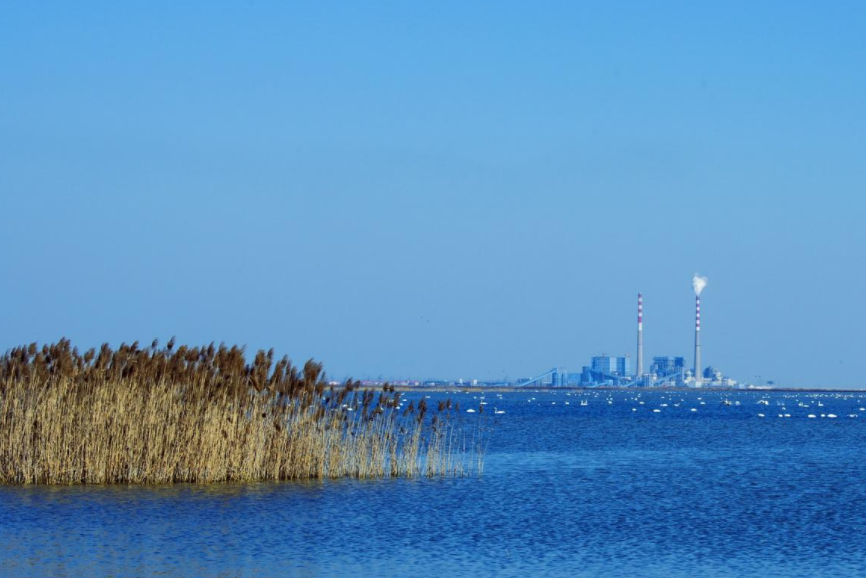 天津将增“顶尖商场”,落户大港区,拟开业时间2021年6月