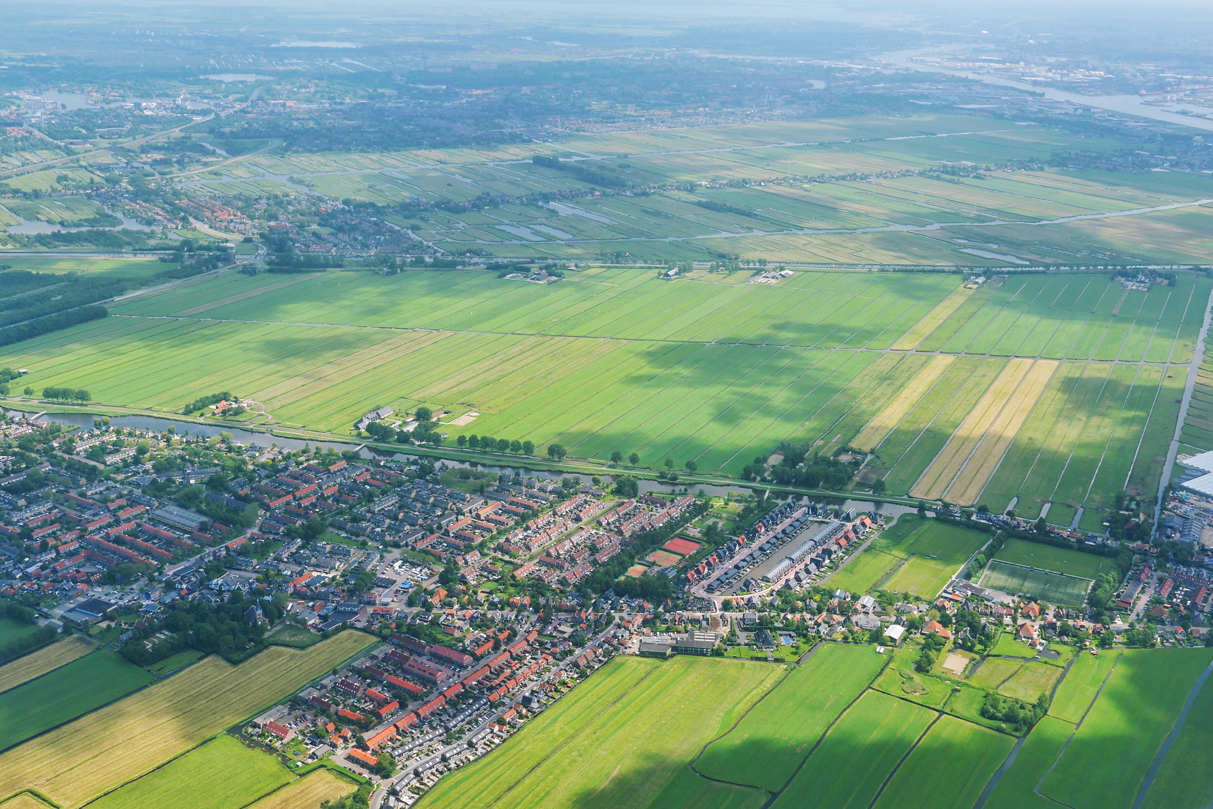 你真的了解荷兰吗,你真的了解郁金香吗