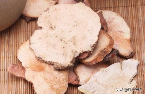 邹燕勤治肾病蛋白尿经验,岳沛芬教授谈肾病治法