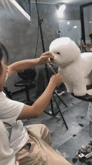 “兄弟睡觉压得胳膊都变色了，要不要叫醒他？”醒来一定很酸爽