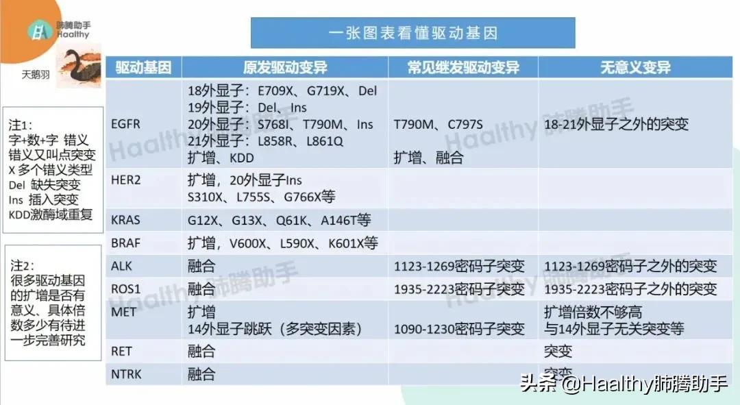 肺癌多靶点靶向药要基因检测吗,针对肺癌靶点alk的靶向药