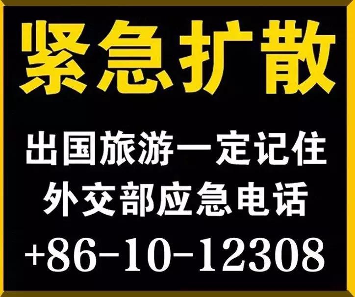 “19岁,她在暗网被30万欧元拍卖”