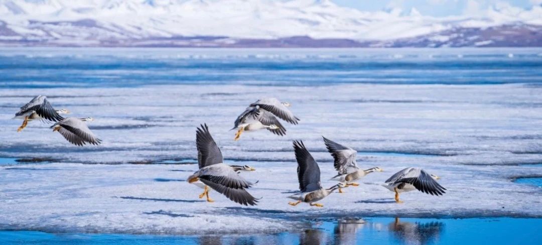 中国县城现状原文,中国县城现状深入调查