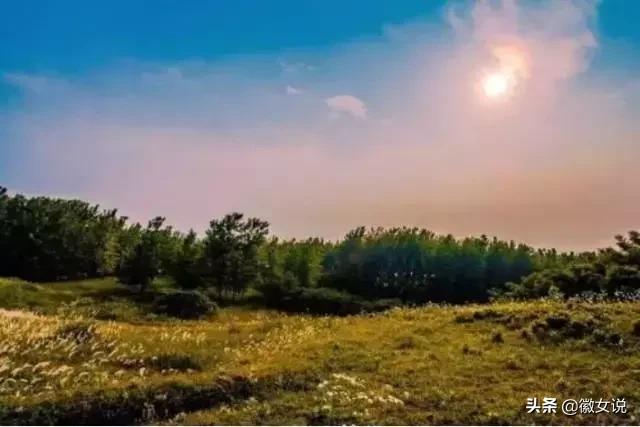 合肥各个区pk郑州,合肥是全国最漂亮的城市吗