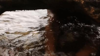 木棍怎么挖出泳池,一根棍子挖出一个游泳池