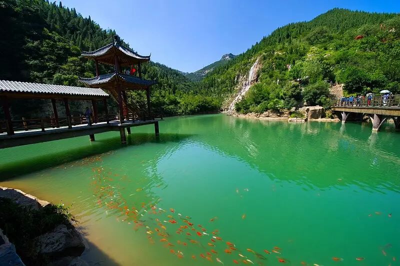 山东这座城市好吗,山东海滨之城风景