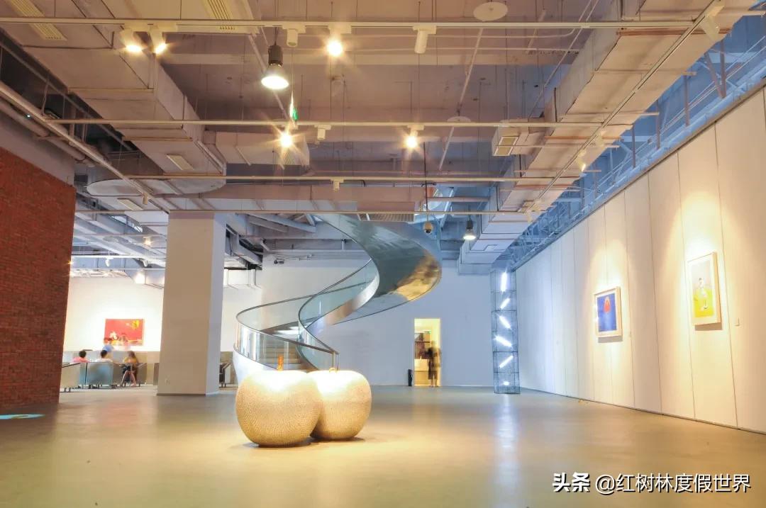 逃离北方的寒冷,逃离北方森林