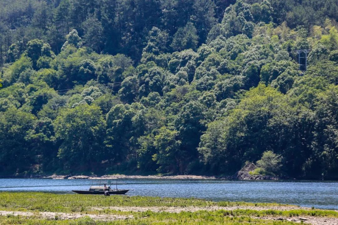 比乌镇安静比南浔古朴,藏不住了这里有最炫秋色