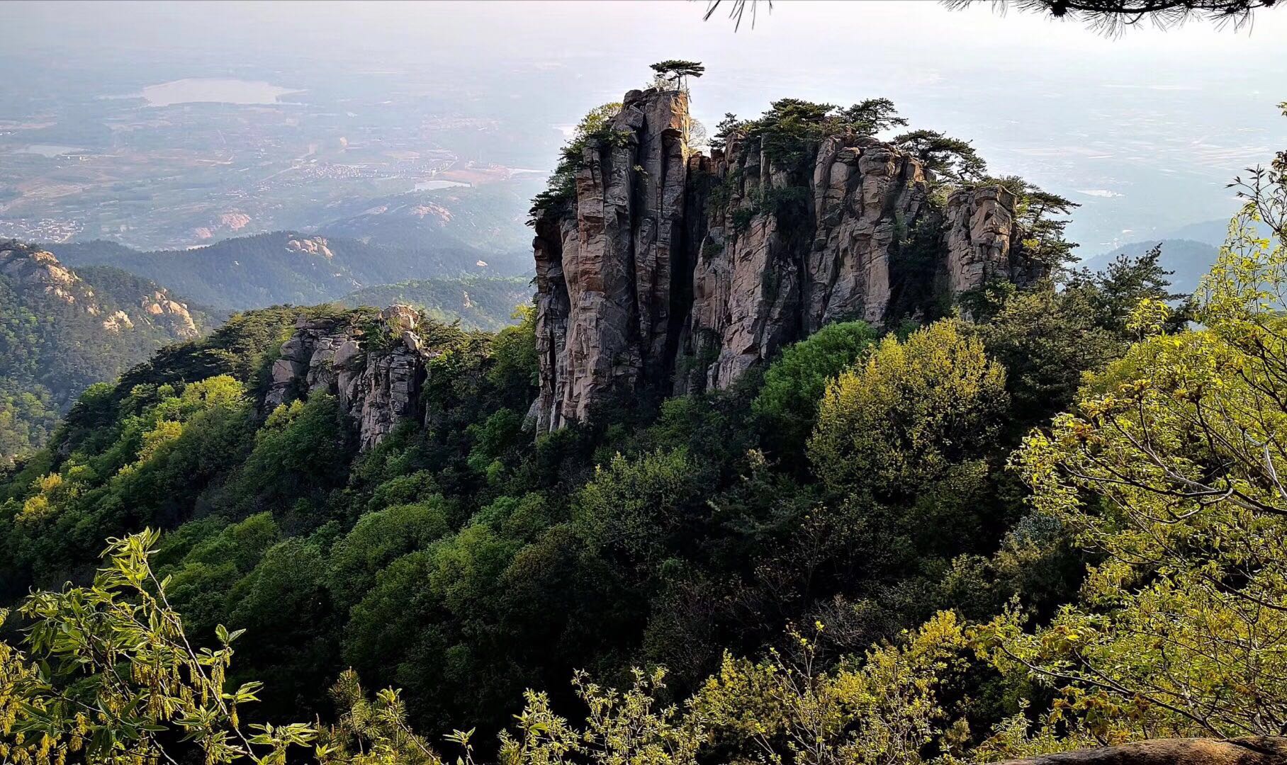 期货趋势交易技术分析,期货趋势交易讲解视频