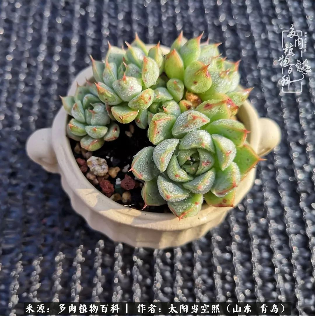 离家在外才发现最难忘的是故乡情,离家在外看见家乡的东西