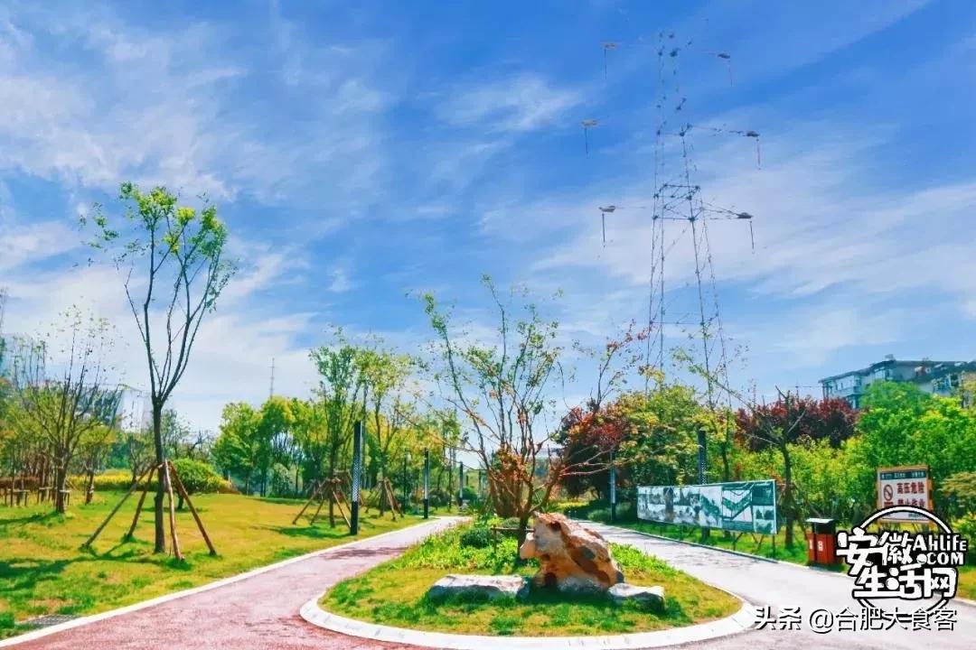 2020年，在这50个地方遇见不一样的合肥