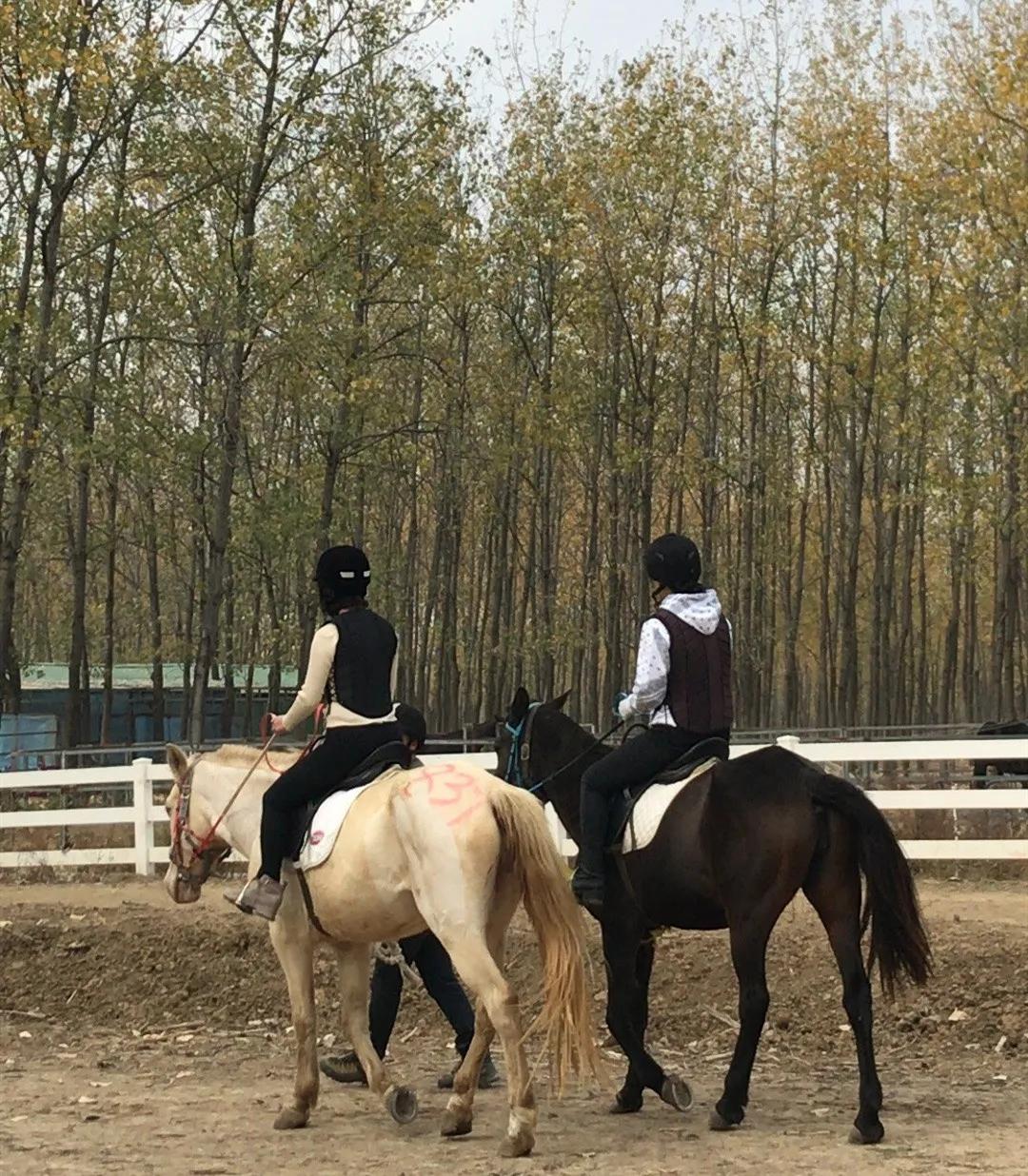 合肥小众风景区,合肥有一处小众景点