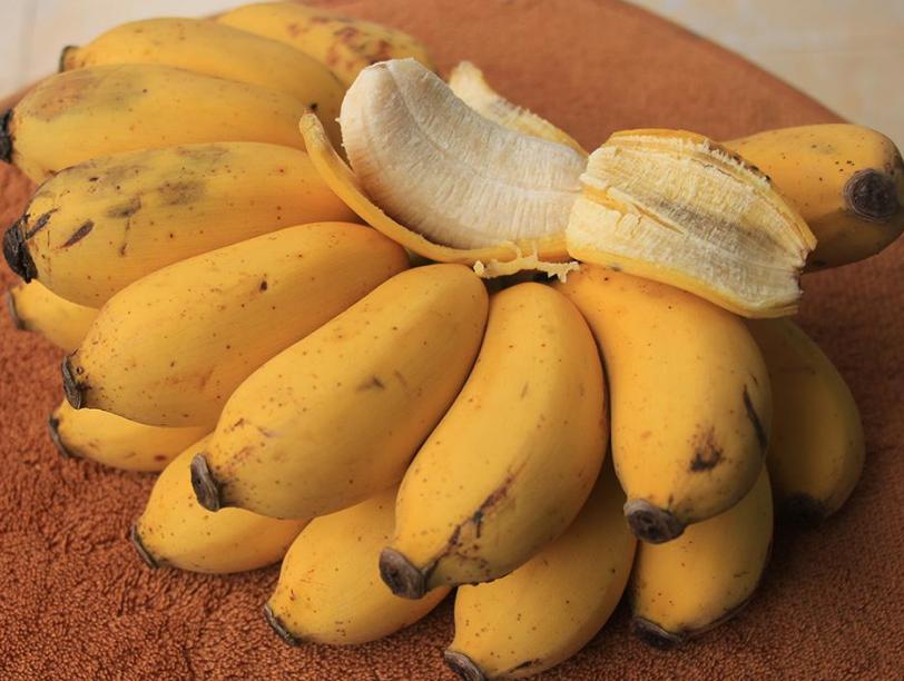 泰国有名的水果有哪些品种,泰国当地水果推荐