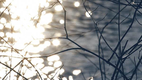 亚麻衣服一般多少钱,衣服亚麻材质