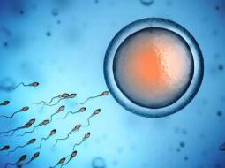 做试管婴儿哪些问题最需要注意,做试管婴儿的女性最容易得什么病