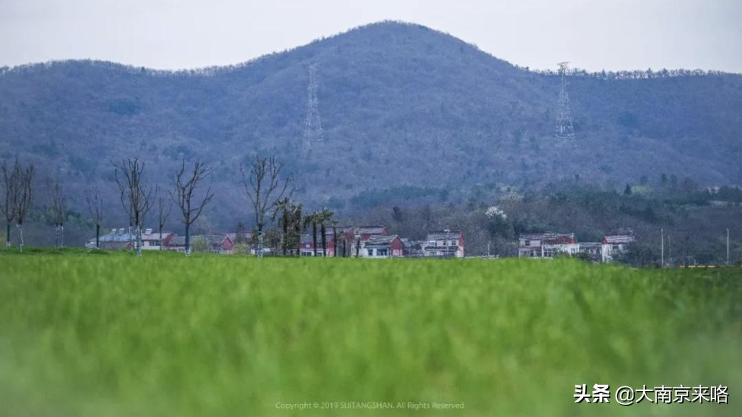 2020江苏省最美乡村道路评选结果,中国十大美丽乡村南京