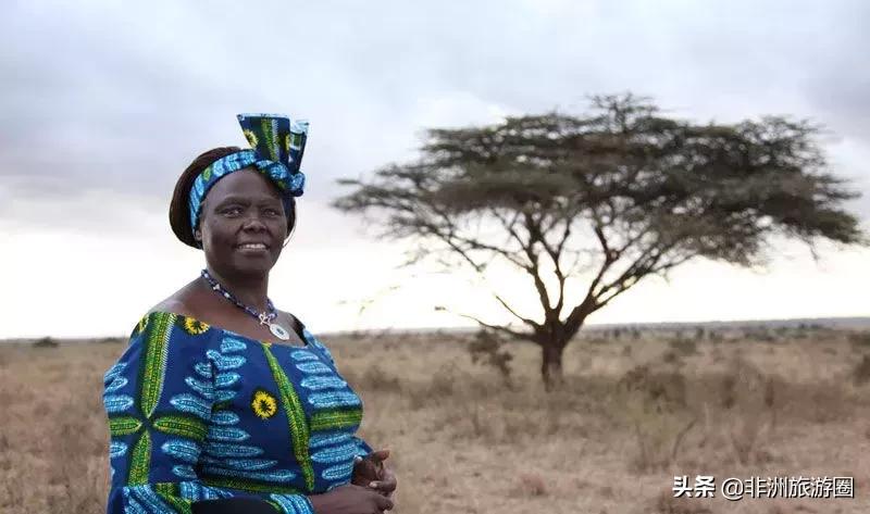 15个你不知道的颜色冷知识,10条你不知道的韩国冷知识