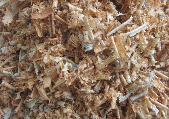 绿萝怎么养才能更旺盛生活小技巧,绿萝冬天怎么养才能更旺盛小妙招