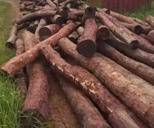 血檀市场,红木排名血檀