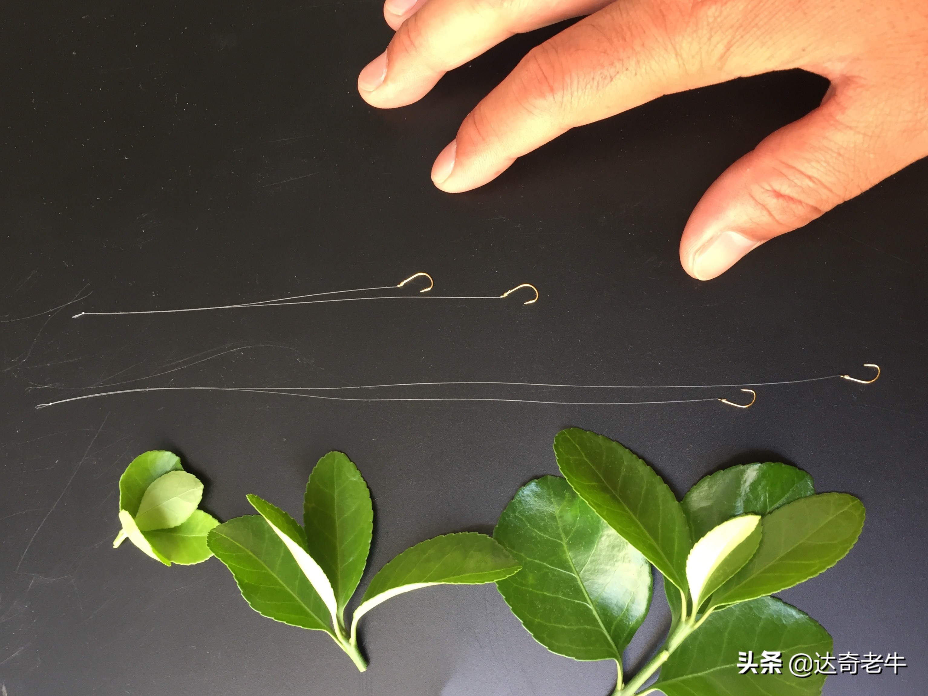 新手钓鱼怎么选择鱼线长度,钓鱼怎么调目最准确