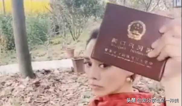 艺人限国籍令,外籍明星回应限籍