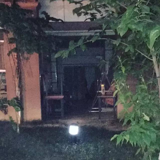 她救下一只得皮肤病脾气巨差的猫咪，花了两个月变身软萌美喵