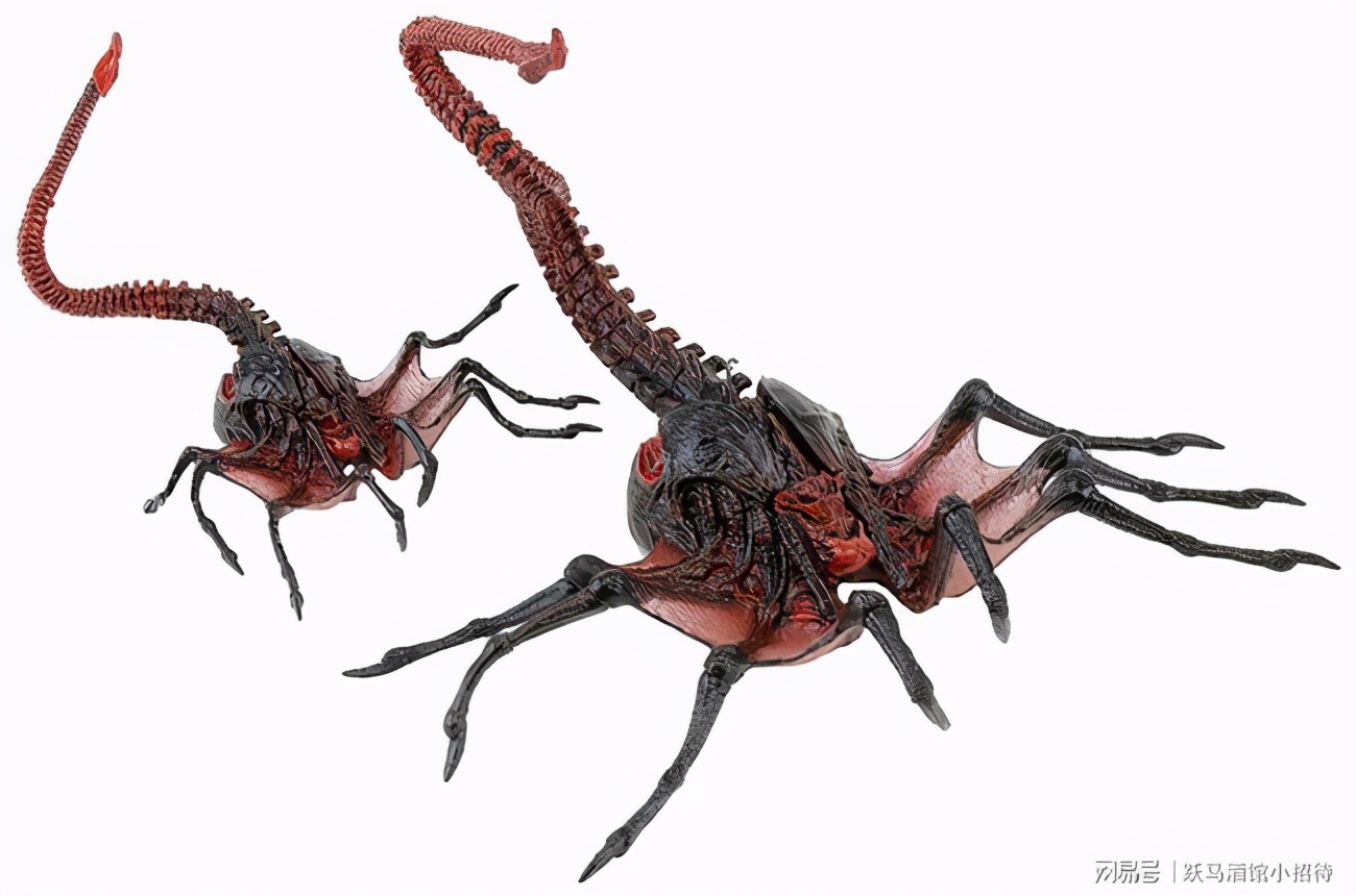 寮傚舰vs閾佽鎴樺+娣卞害瑙h,涔愰珮閾佽鎴樺+vs寮傚舰