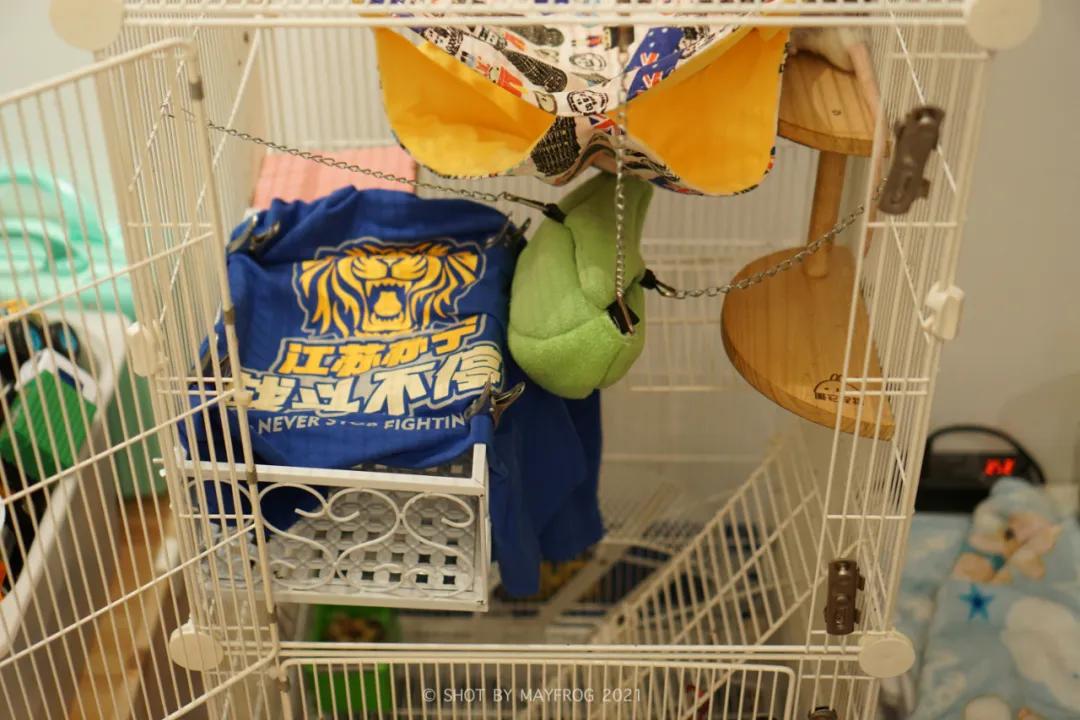 「清明特辑」零首付！月供2块2！江苏队的头七日我尽了绵薄之力