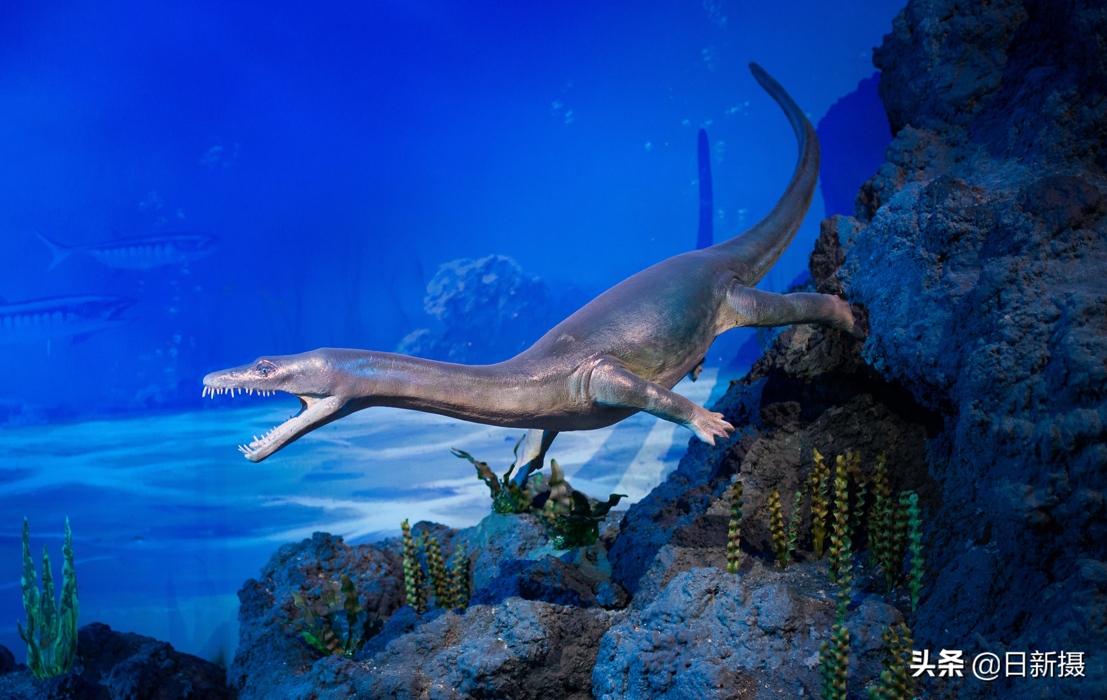 国家海洋博物馆之行,国家海洋博物馆蓝色海洋体验馆