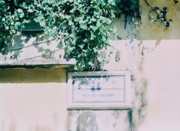 余生一定要找一个会服软的男生,余生找个愿意为你服软的男人文案