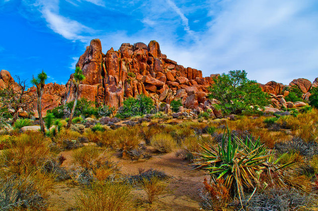 吸引力法则钱只会流向不缺钱的人,吸引力法则有钱