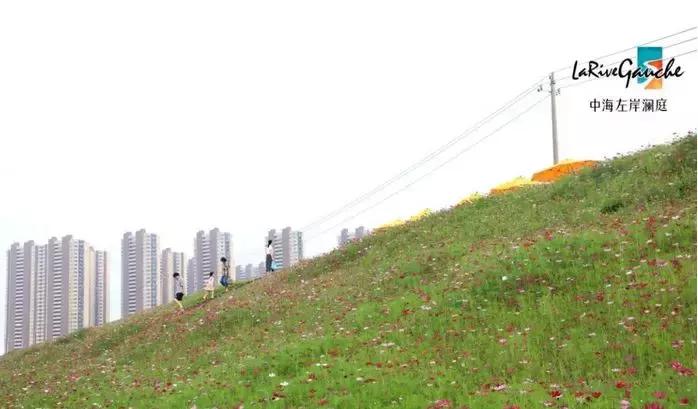 江北核心区vs紫东核心区,江北核心区vs河西南