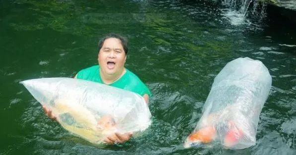 他花50亿建池塘买锦鲤，还以好友的名字为它们命名！