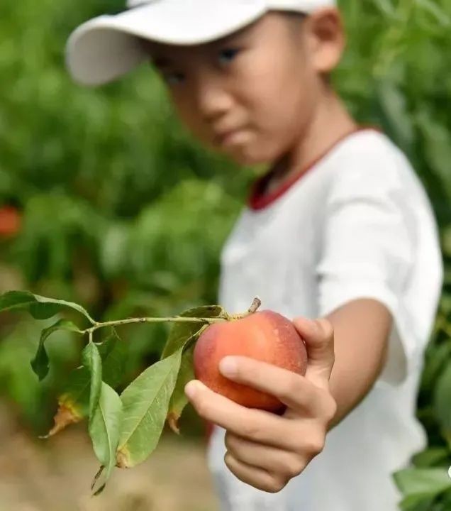 秋天的第一波大“瓜”终于藏不住了