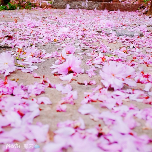 七夕愿以深情共白头的句子,愿有岁月可回首且以情深赴白头