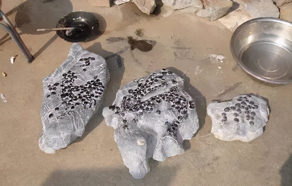 莲花瓣灵璧石作假过程,灵璧石白筋黄筋能作假吗