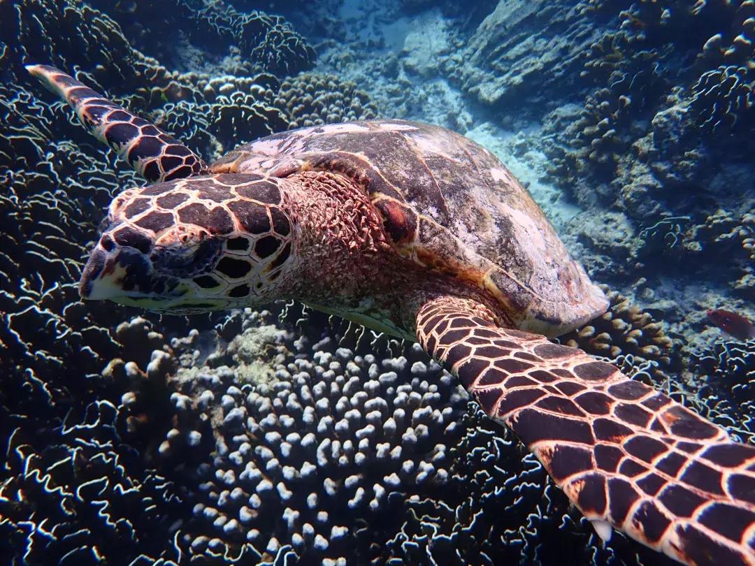 比江南秋色还绚烂,东北这3座小城又妖又撩,中秋出行正当时