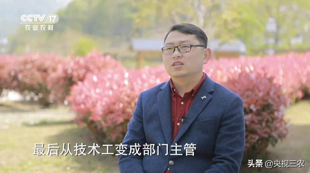 他放弃高薪回村干这一行，旁人不理解，如今大获成功