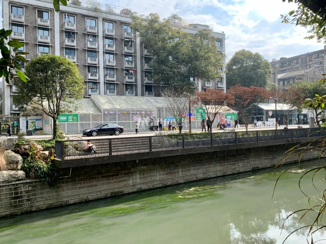 成都绿道风景美如画,成都周边哪条河边绿道最美