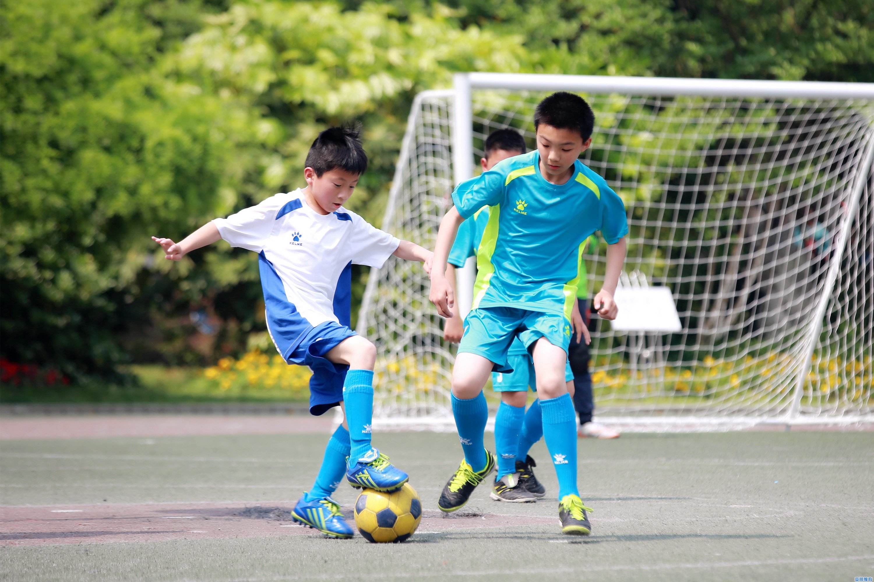 孩子体质差容易生病,这3招祛除积食内热,还孩子一个强健体质