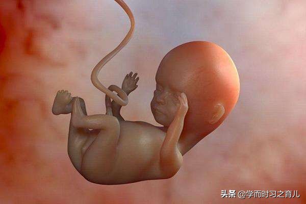 孕妇须知：脐带异常的5种情况和危险，准妈妈做好这些，别慌张