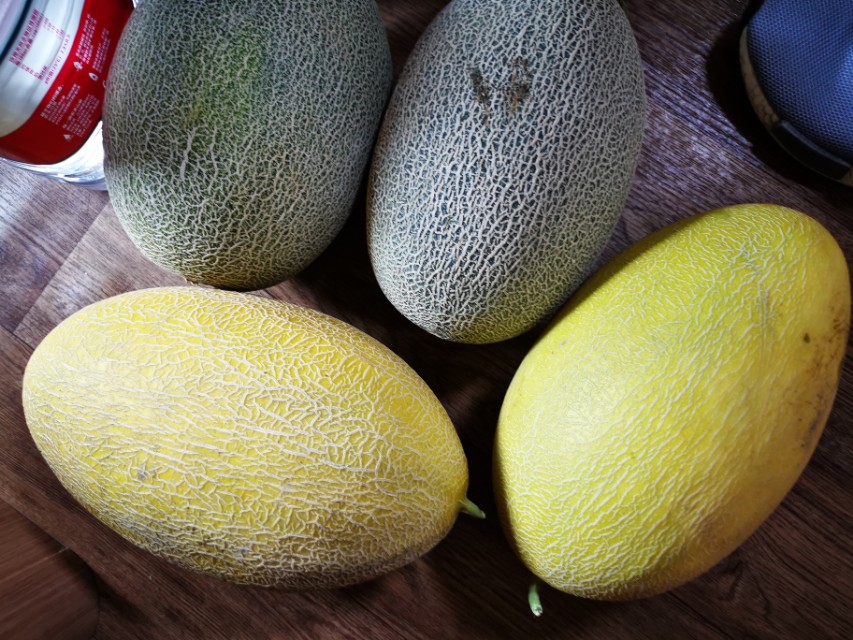 哈密疆内旅行最新消息,新疆哈密市东大门