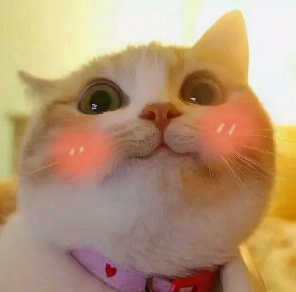 香奈儿邂逅柔情淡香水和迪奥花漾,迪奥旷野和香奈儿蔚蓝香水哪个好